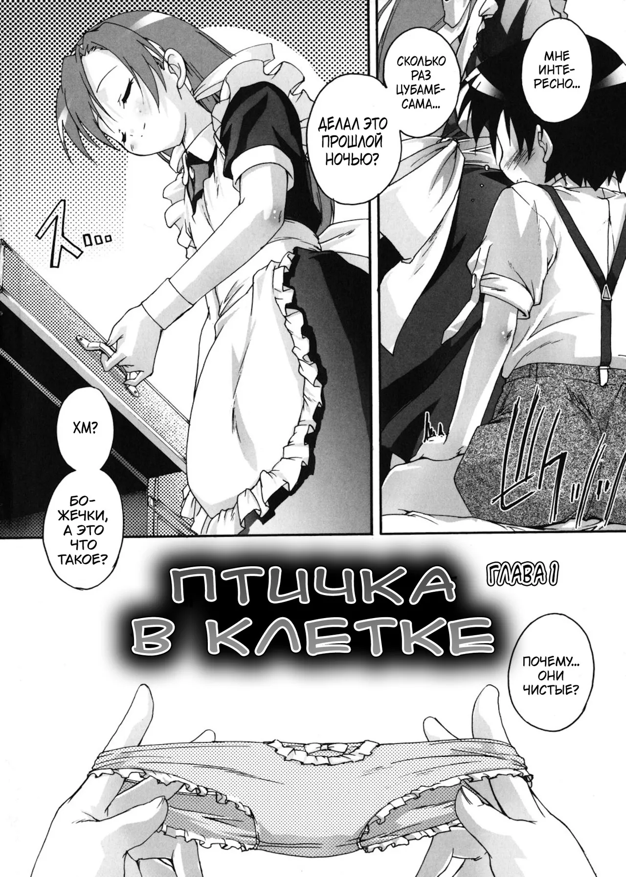 Kago no Tori page 9 full