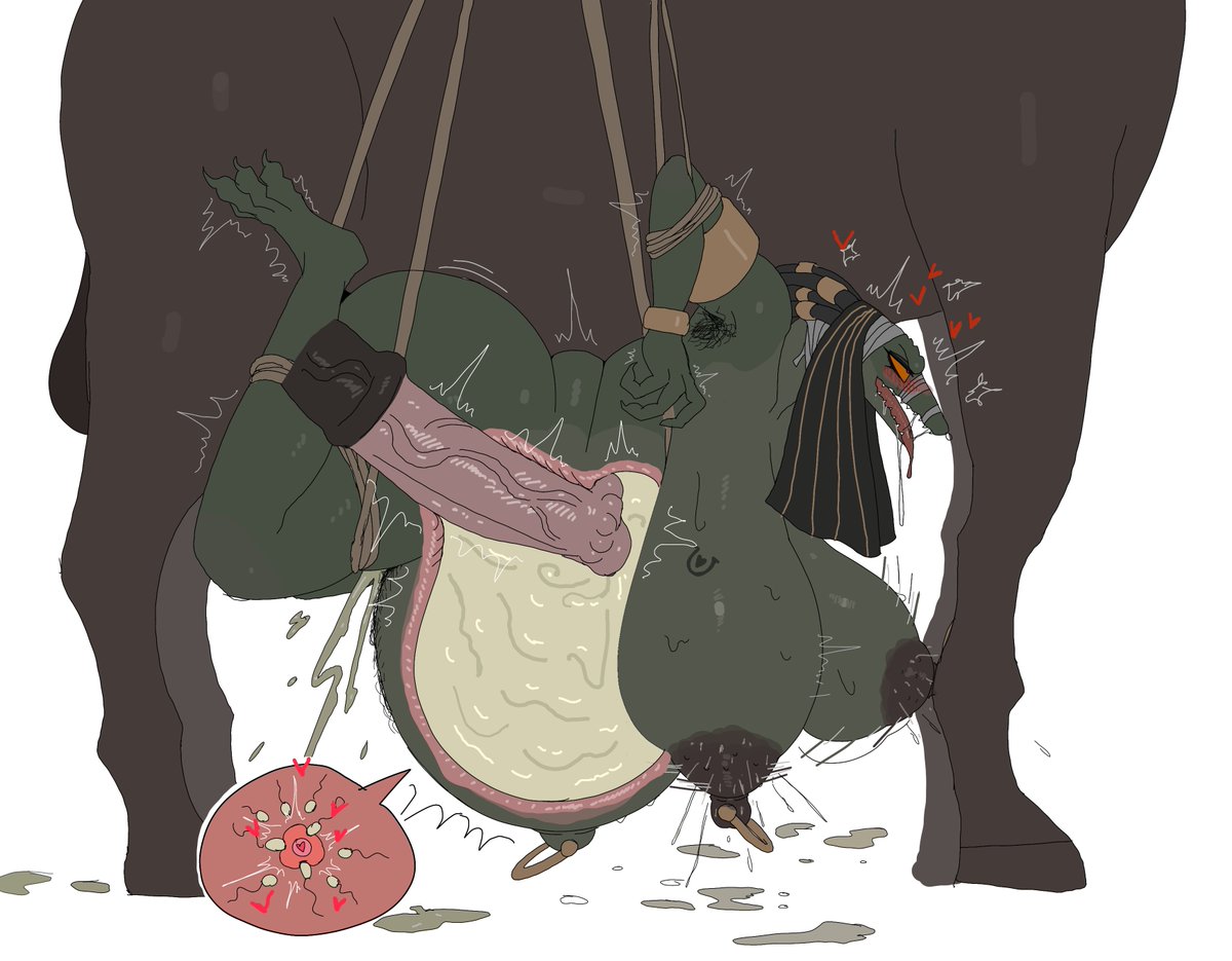 im51nn5 page 3 full
