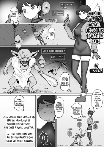 Dai Mahoutsukai no Boku ga Goblin de Onanie Shita Sei de | Because I’m a High Wizard, I Use Goblins to Masturbate cover