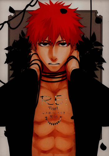 Re TorL cover