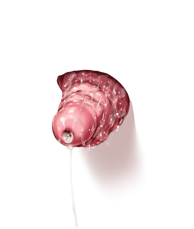 - Templates page 7 full