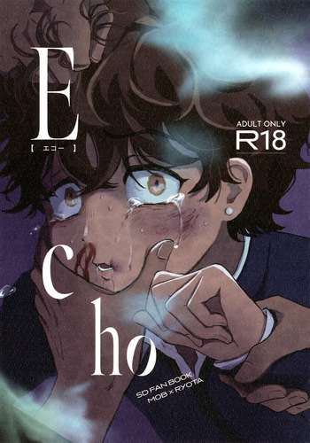Echo cover