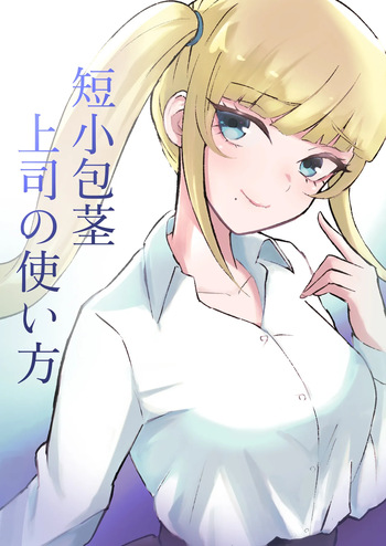Tanshou Houkei Joushi no Tsukaikata cover