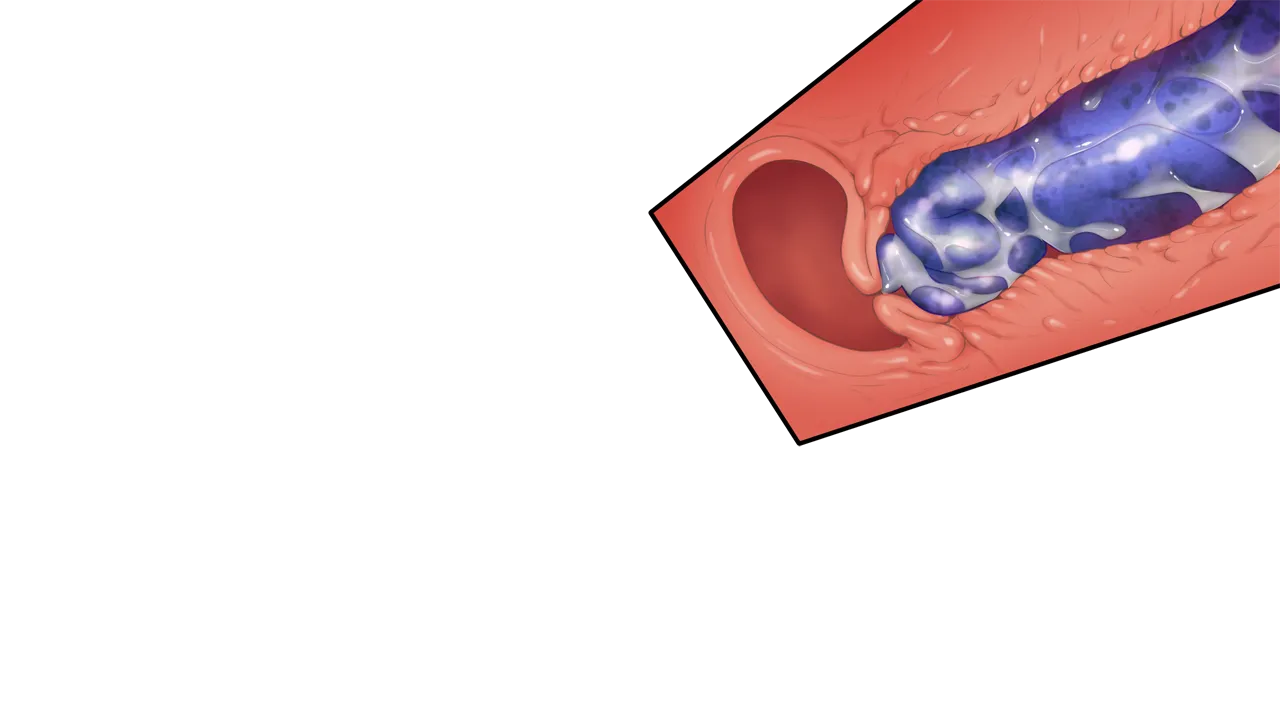 Shin Shou: Jain no Ikenie ~Shokushu-hime no Shushi~ page 7 full