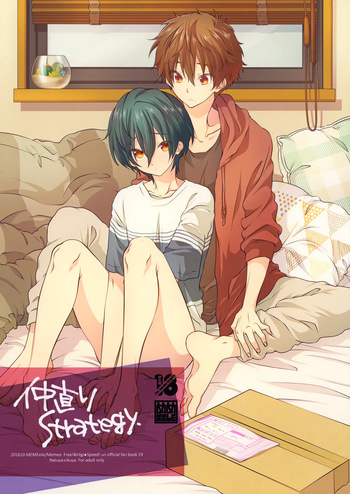 Nakanaori Strategy cover