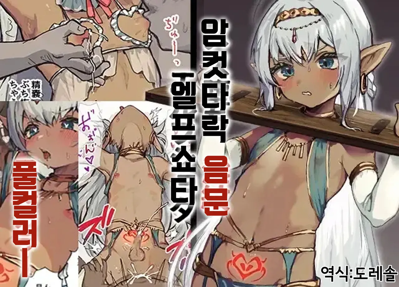 Kouki na Kasshoku Elf Shota o Inmon no Chikara de Mesuiki Ohogao Saseru | 고귀한 갈색 엘프쇼타를 음문의 힘으로 암컷타락 오홋 얼굴을 하게 만들다 page 1 full