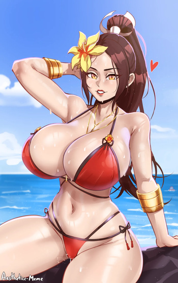 Mai Shiranui cover