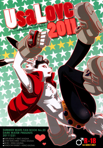 UsaLove 2011 cover
