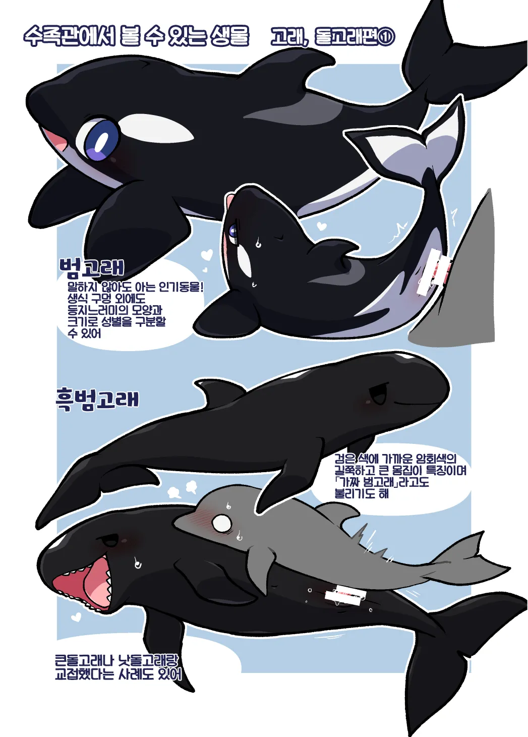 Dokidoki Suizokukan | 두근두근 수족간 page 10 full