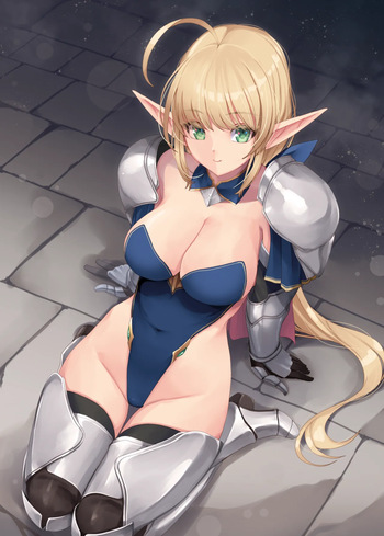 新レオタードエルフ女騎士 cover