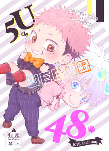 5U de 48 cover