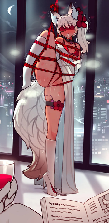collection cover