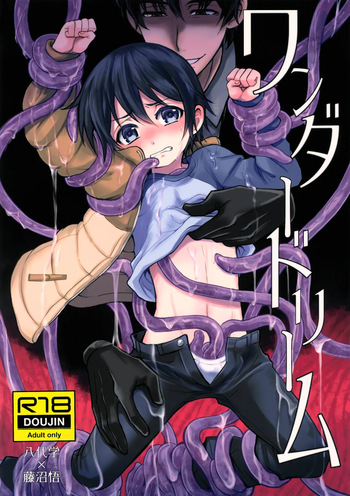 Wonder Dream cover