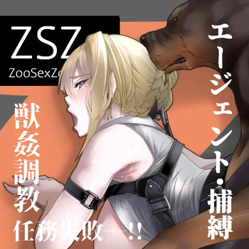 ZSZ 1+2 cover