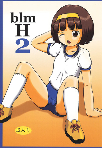 blm H 2 cover