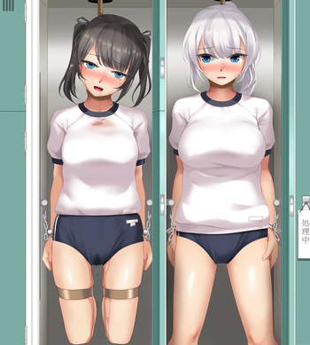 Locker cover