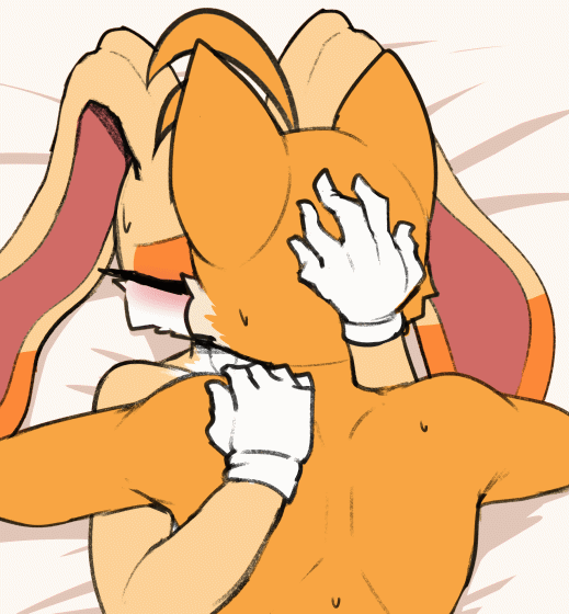 Tails x Vanilla &amp; Cream Exclusive Animation page 9 full