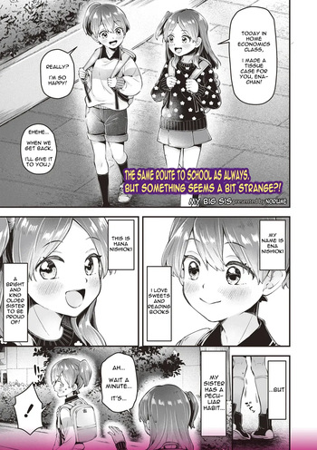 My Big Sis cover
