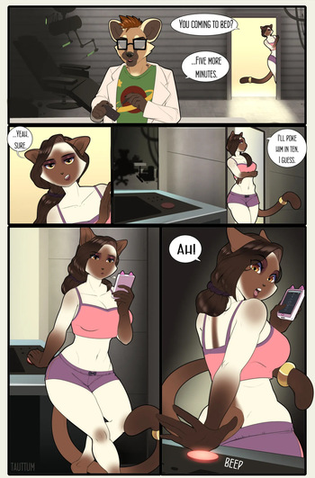 The Impromptu Experiment cover