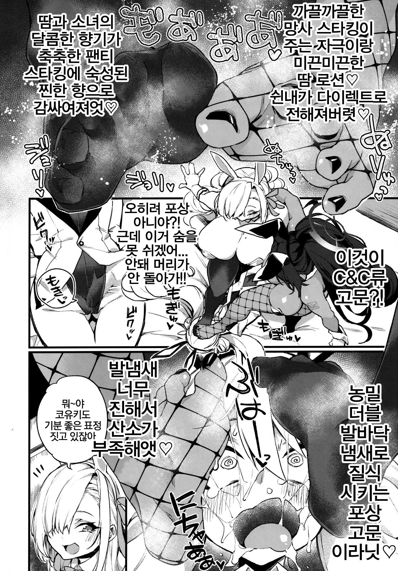 WHITE RABBIT HUNTING page 5 full