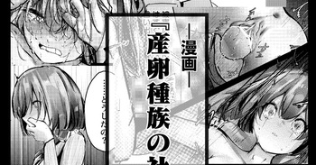 産卵種族の社会処理 cover