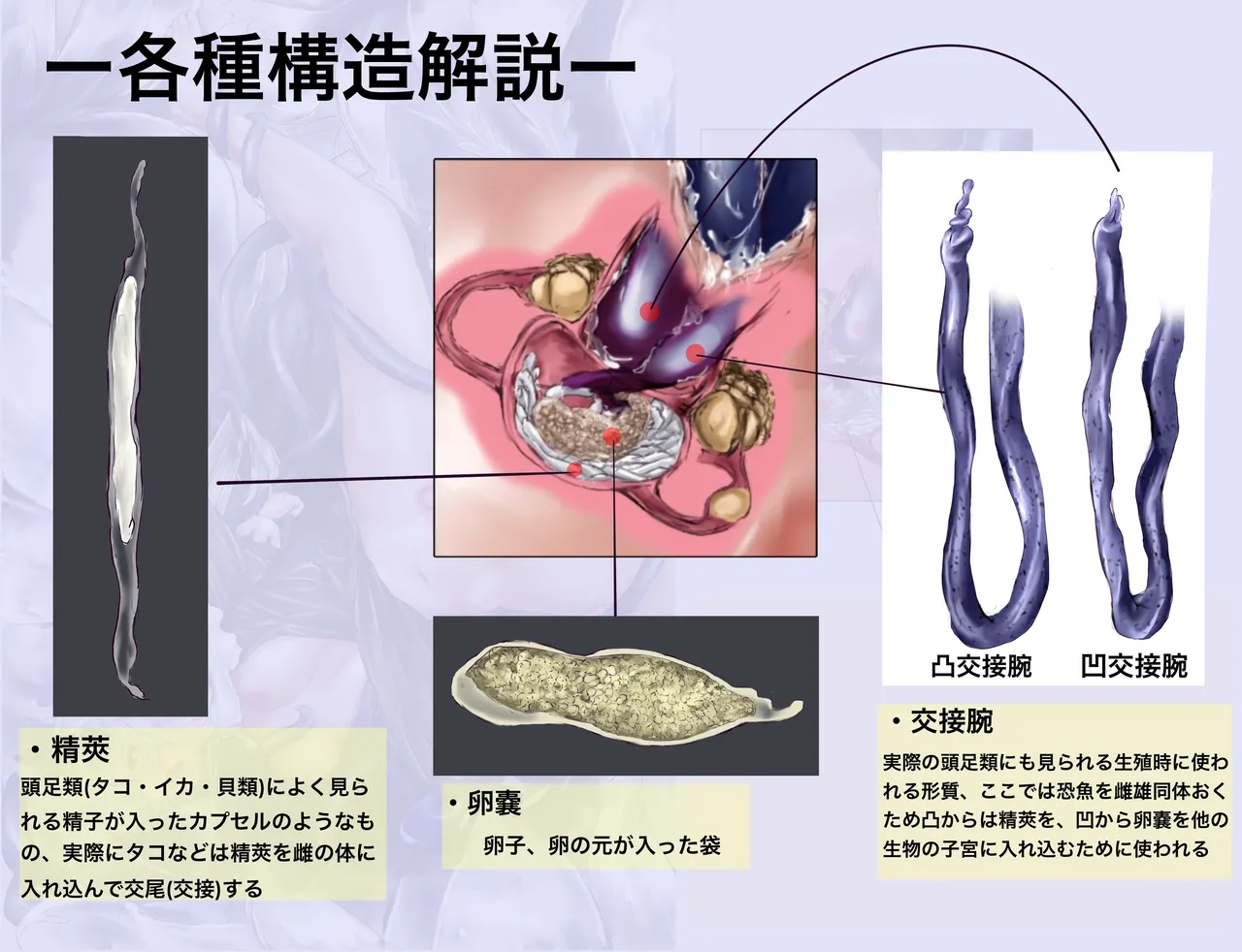 恐魚×人間 交配ガチ考察 page 9 full