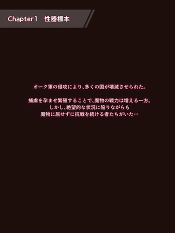 Shojo Kishi Haiboku END - Remake sōshūhen - cover