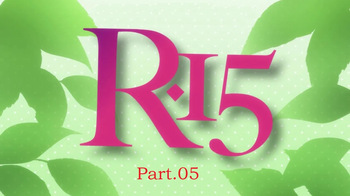 R-15 cover