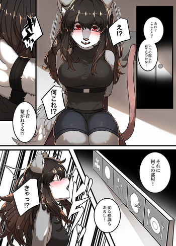 Bōfuku jikken cover