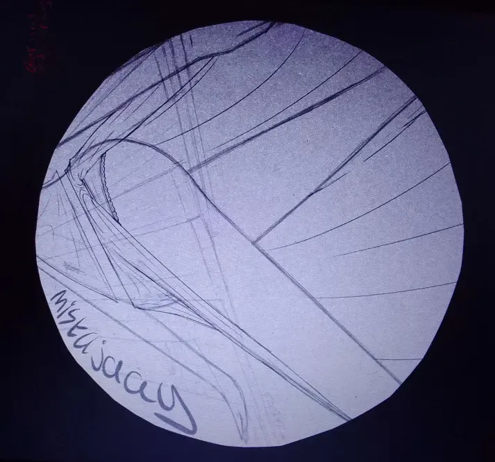 wips n sh!t page 8 full