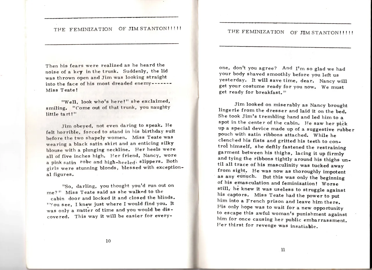 The Feminization of Jim Stanton! page 6 full