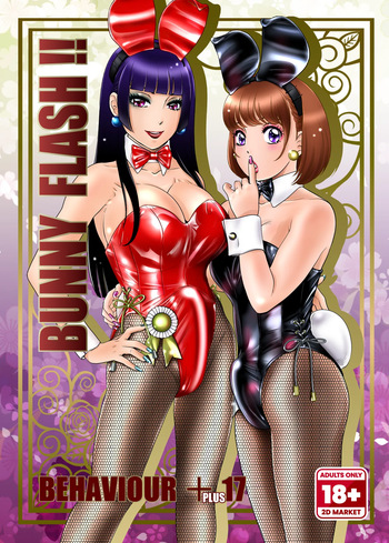 BEHAVIOUR+17: Bunny Flash!! cover