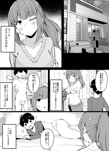 義理の弟にめちゃくちゃ懐かれるようになった話 cover