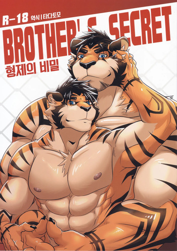Kyoudai no Himitsu | Brother’s Secret cover