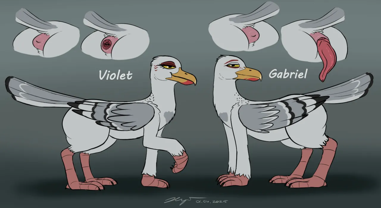 Guano Island for Orcas + Extras page 8 full