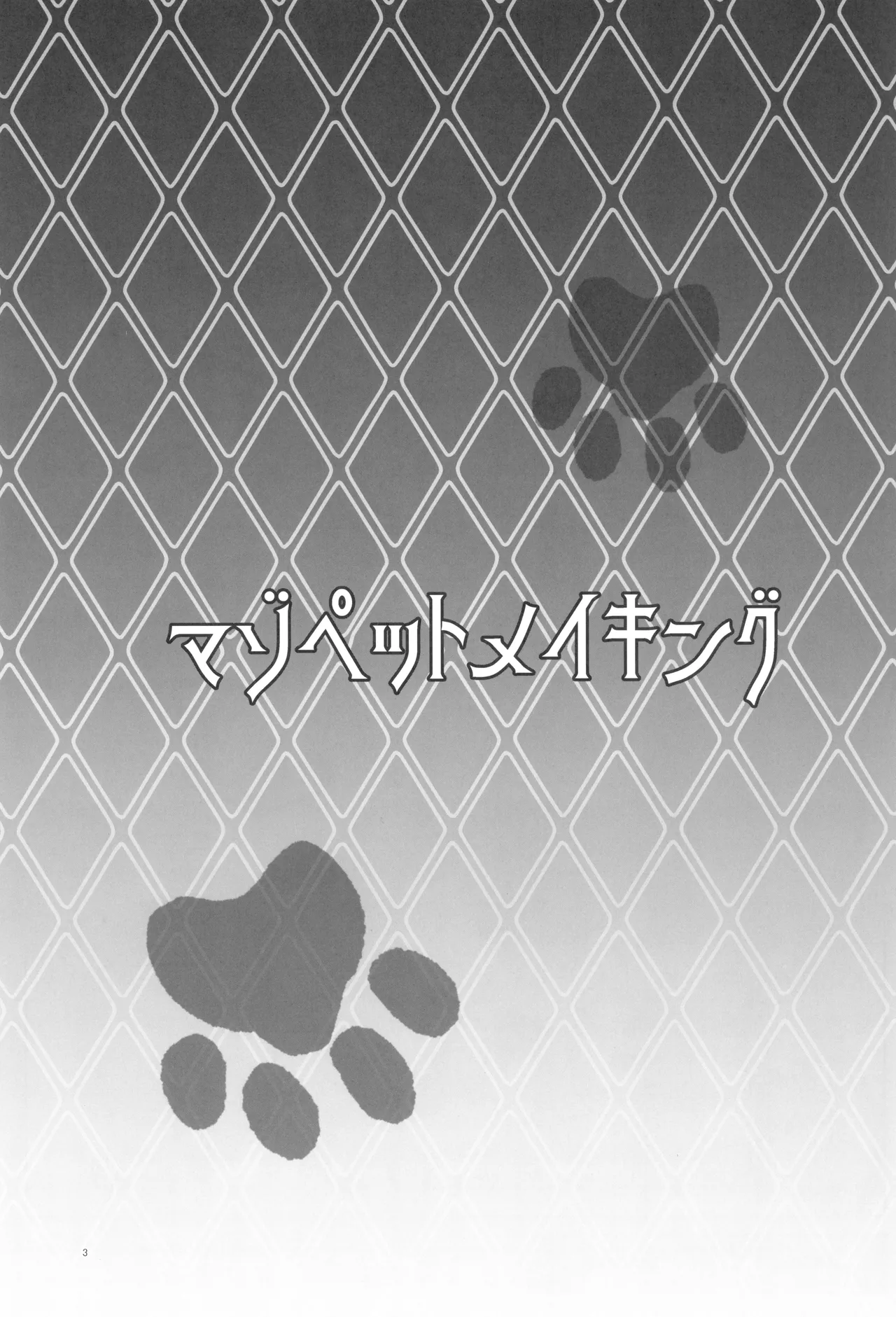 Maso Pet Making + Paper page 2 full