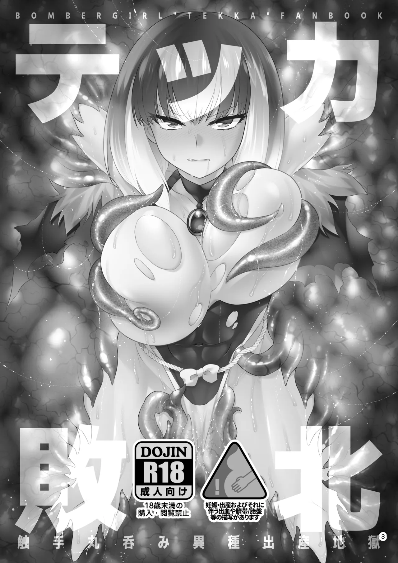 Tekka Haiboku |  텟카 패배 page 2 full