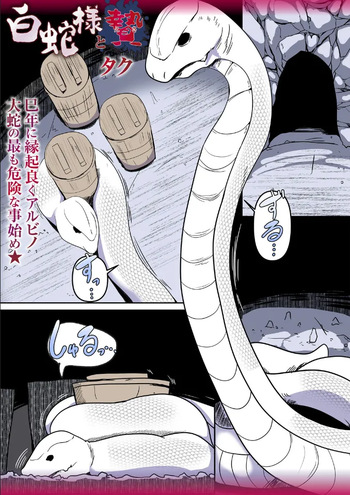 Shirohebi-sama to ni e cover