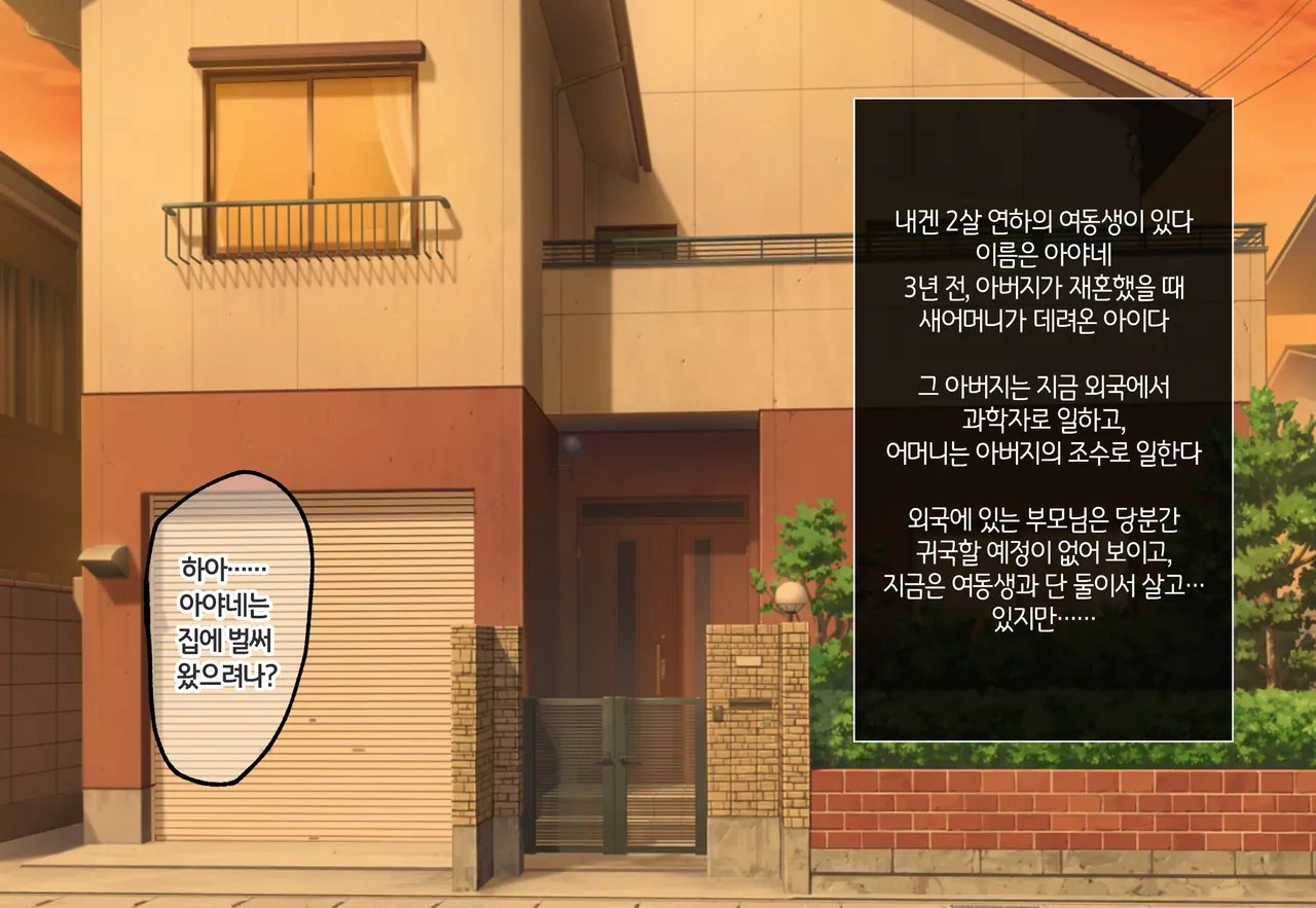 Kuso Namaiki na Gimai ni Saimin Kakete Haramaseru Hanashi | 존나 싸가지없는 의붓 여동생에게 최면을 걸어서 임신시키는 이야기 page 3 full