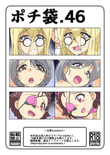 ポチ袋46_アリクイ cover