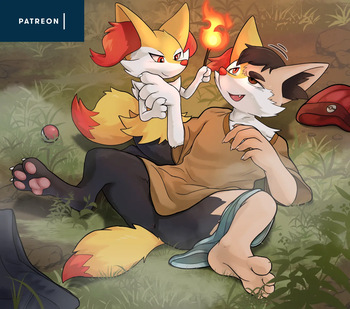 Braixen cover