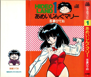 Hideo Land 1 Amazing Mary cover