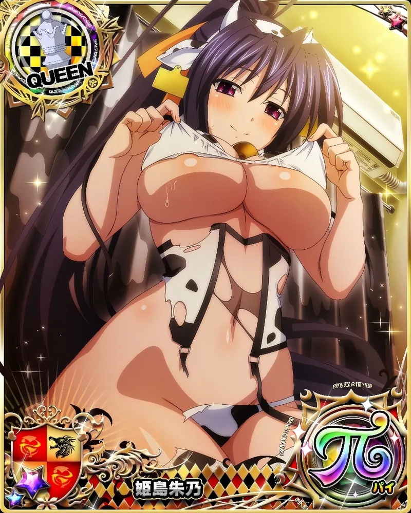 Akeno Himejima - Highschool DxD page 8 full