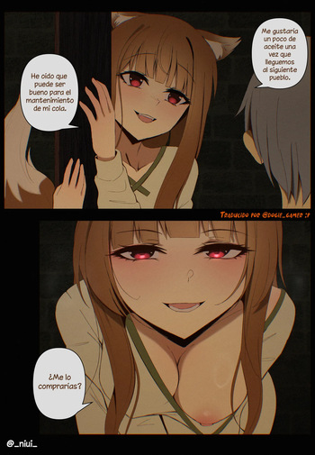 Holo cover