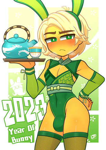 Year of the Bunny cover